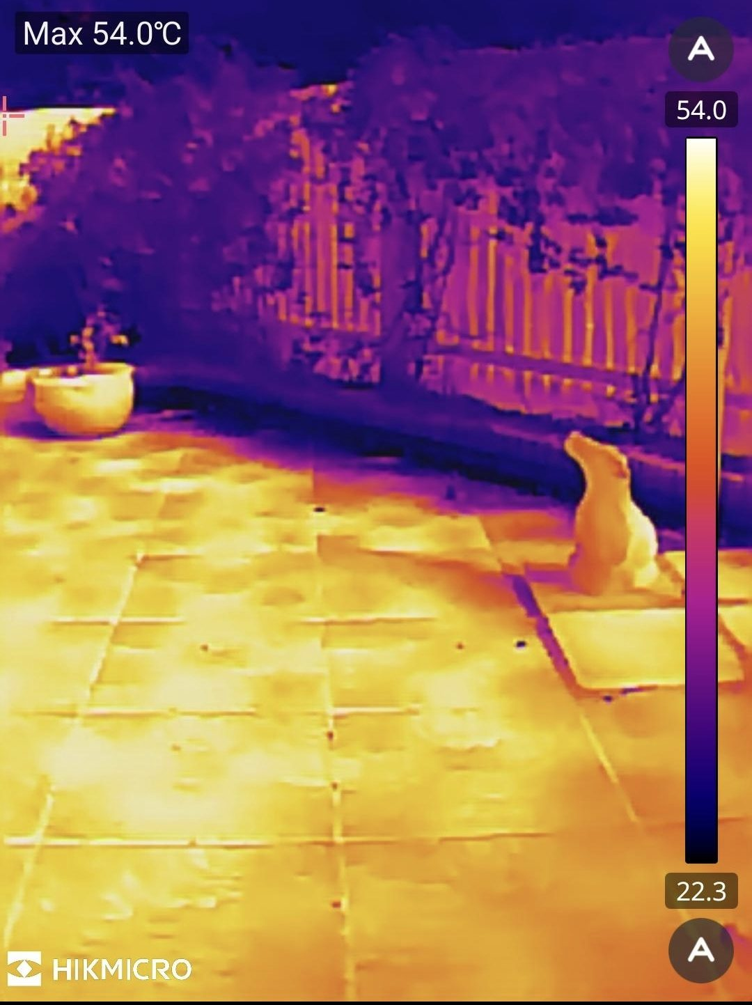 Picture of courtyard on Saturday 23rd May 2026. Stone flags were at 53°C.